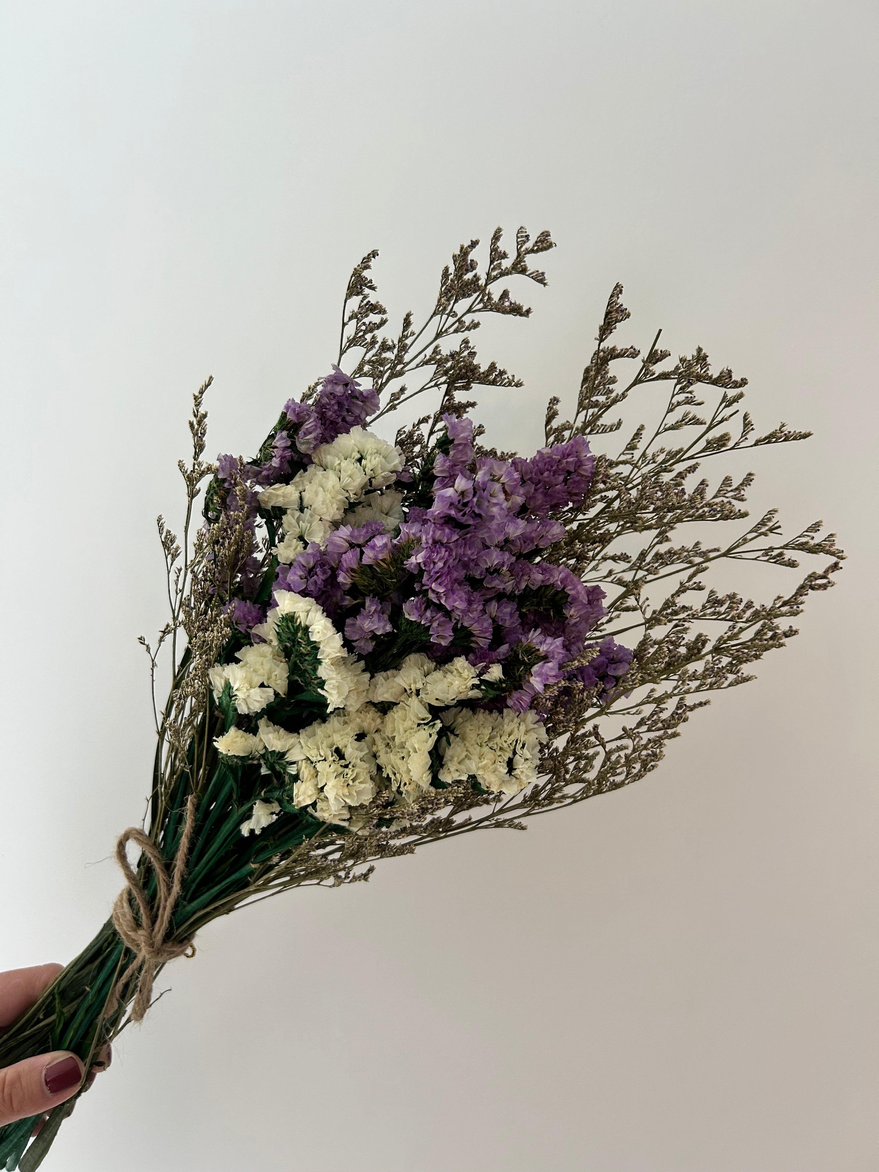Small everlasting dried flower bouquet